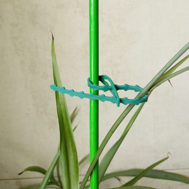Reusable Garden Cable Ties Plant Support Shrubs Fastener Tree Locking Nylon Adjustable Plastic Cable Ties Tools (Color : 13cm Size : 100PCS)