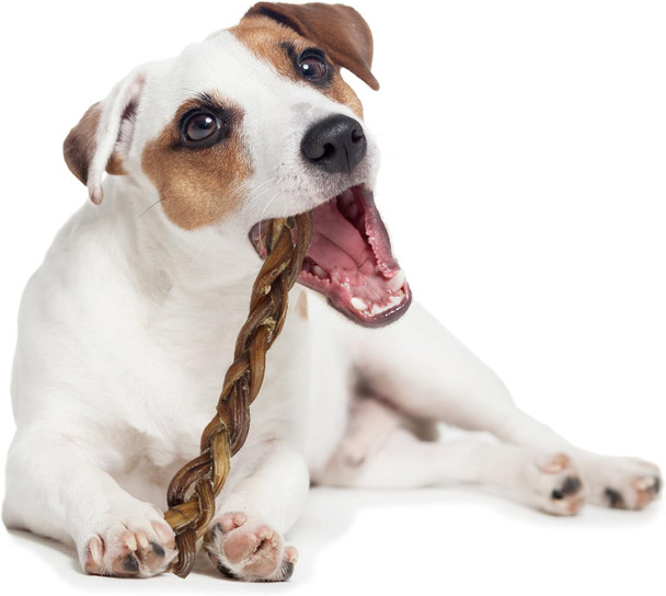 Downtown Pet Supply - Braided Bully Sticks Dog Treats - Dog Dental Treats & Rawhide Dog Chews - Joint Support, Protein, Vitamins & Minerals - Grass-Fed Beef Sticks - 5" - 10 Pack