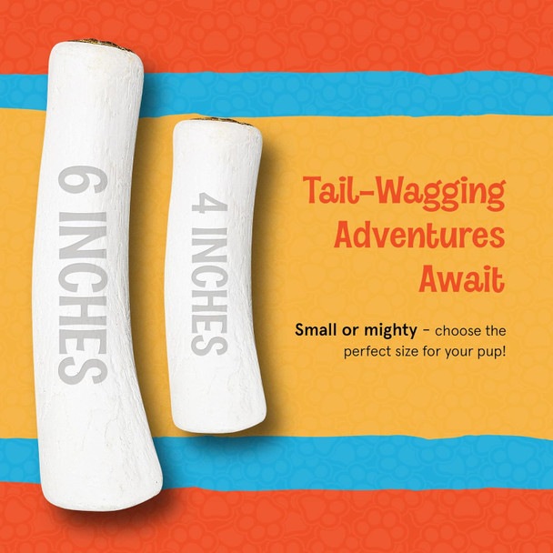 Stuffed Dog Bone - Dog Treat Filled with Flavor for Your Dog - Great for Dog Treat or Training - Long Lasting Dog Chew. (3 to 4 Inches, Variety Pack)