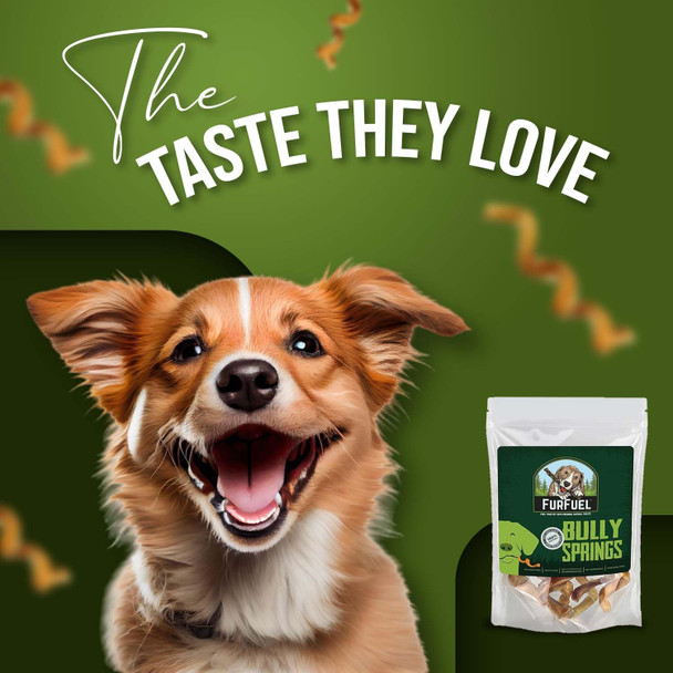Spiral Bully Sticks - Premium Single-Ingredient Chew for Dogs - Made from Beef Pizzle - Bully Stick Springs for Dogs are Low Odor & Healthy (6 Pack)