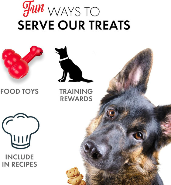 Grandma Lucy's Organic Oven Baked Dog Treats - Blueberry, 14 oz