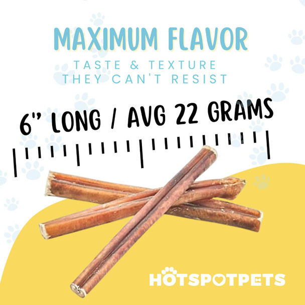 hotspot pets Bully Sticks 6 Inch- 10 Pack- Premium Natural Long Lasting Bully Sticks for Medium Dogs Beef Pizzle Treats - Grain Fully Digestible Rawhide Alternative Stix