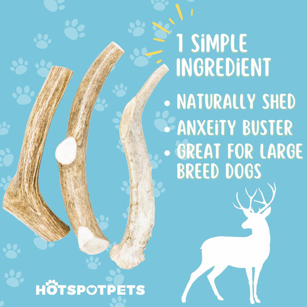 hotspot pets Premium Whole Deer Antlers for Dogs - 8+ Inch X-Large Deer Antler Dog Chews - Naturally Shed for Large Breed Aggressive Chewers - Sourced in USA (1, X-Large Antler)