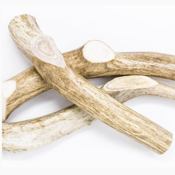 hotspot pets Premium Whole Deer Antlers for Dogs - 8+ Inch X-Large Deer Antler Dog Chews - Naturally Shed for Large Breed Aggressive Chewers - Sourced in USA (1, X-Large Antler)