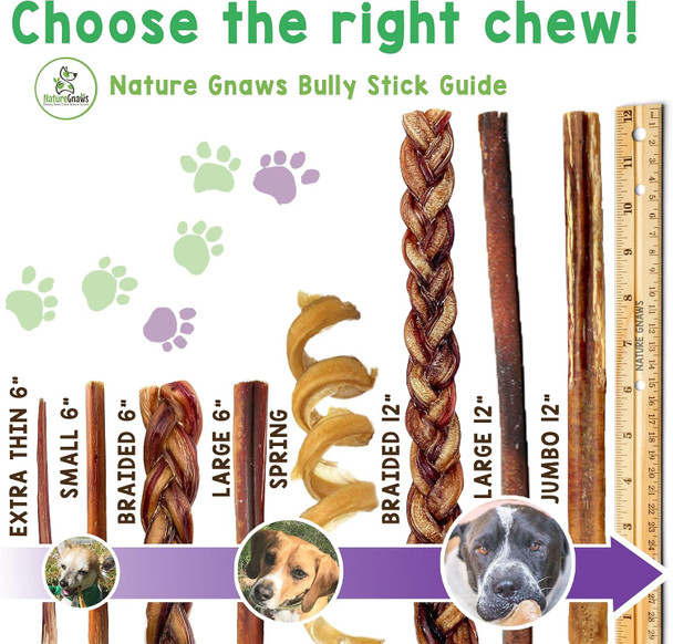 Nature Gnaws Bully Sticks for Large Dogs - Premium Natural Beef Dental Bones - Thick Long Lasting Dog Chew Treats for Aggressive Chewers - Rawhide , 12 Inch (5 Count)