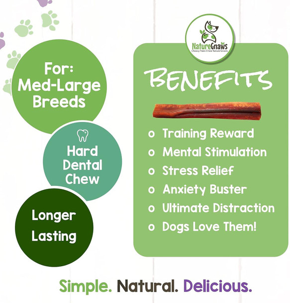 Nature Gnaws Extra Large Bully Sticks for Dogs 5-6" (3 Count) - Thick Long Lasting for Aggressive Chewers and Heavy Chewers - Natural Beef Dog Chew Bones