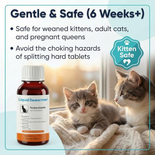 Bipinelyt Dewormer For Cats & Kittens Liquid Fenbendazole Broad Spectrum Suspension Removes 3Ml