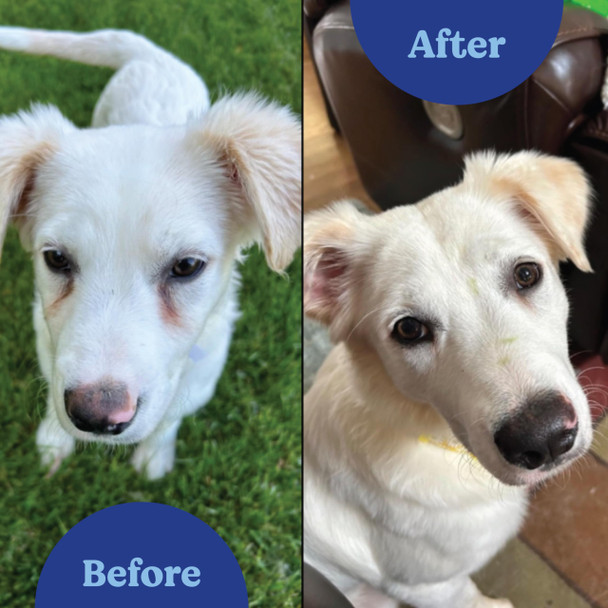 Angels' Eyes Natural Tear Stain Prevention Chicken Powder For Dogs 75G