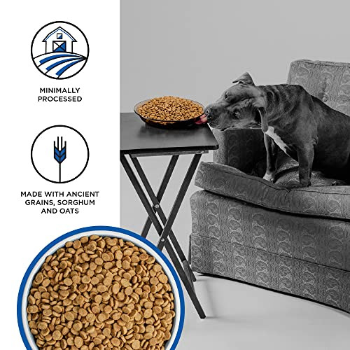 Bixbi Liberty Ancient Grains Dry Dog Food Game Bird Feast Recipe 22 Lbs