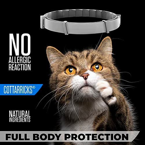 Cottarricks Flea And Tick Prevention For Cats Collar Adjustable 2 Count