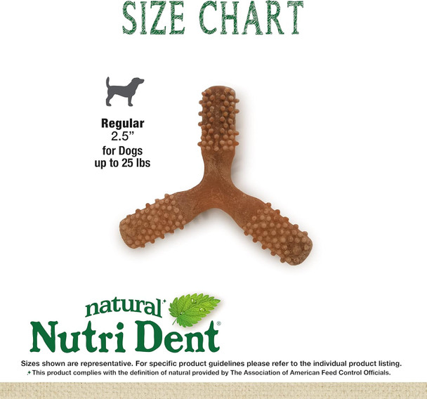 Nylabone Nutri Dent Dog Dental Chews - Natural Dog Teeth Cleaning & Breath Freshener - Dental Treats for Dogs - Filet Mignon Flavor, Small (1 Count)