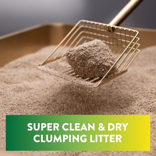 Arm & Hammer Plant Power Lightweight PlantBased Clumping Cat Litter For MultiCat Homes 14Day 15 Lbs