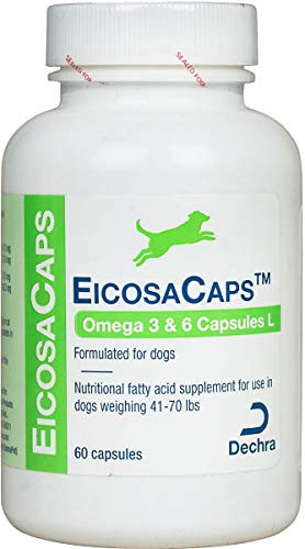 Dechra Eicosacaps Omega 3 & For Dogs 4170 Lb 6 Capsules