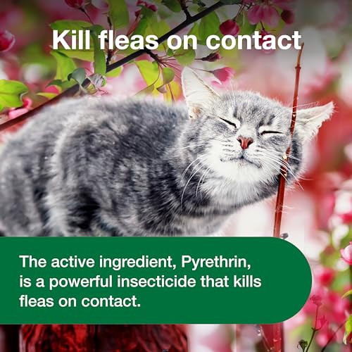 Advantage Cat Flea Treatment Spray 8 Oz