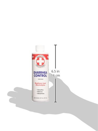 Crazy Dog Dogswell Remedy And Recovery Diarrhea Control For Dogs . (Packaging May 8 Oz