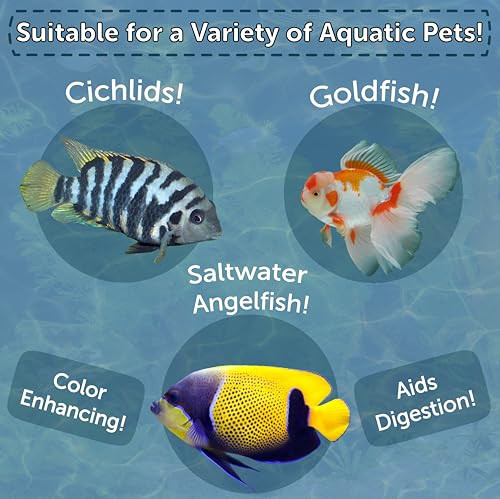 Aquatic Foods Inc. Brine Shrimp Freeze Dried Floating Brine Cubes For Cichlids Discus Tetras 1.3Oz