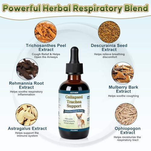 Aether Collapsed Trachea Support For Dogs Support Tracheal & Respiratory Health Trachea 2 Fl Oz