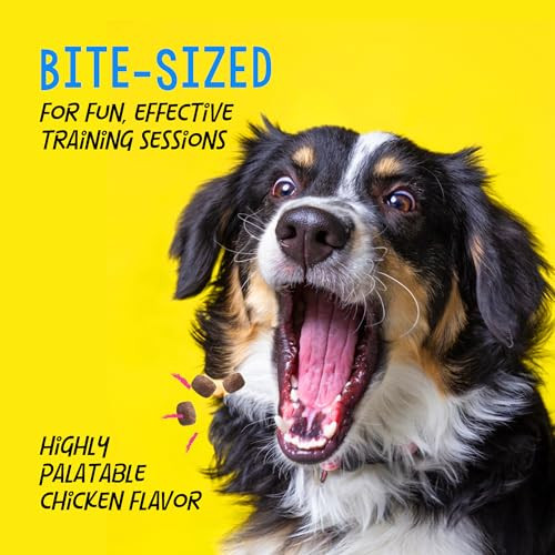 Crazy Dog TrainMe Training Reward Dog Treats .Chicken Regular 16 Oz