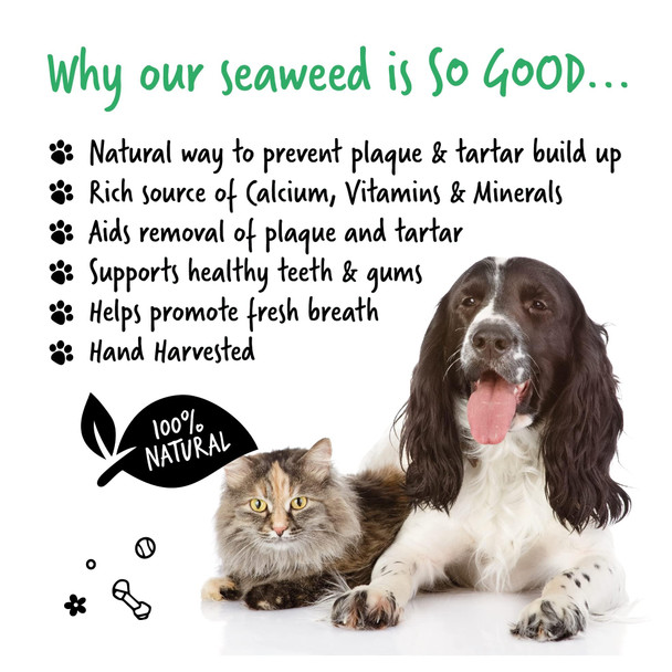 Bugalugs Plaque Off Remover For Dog Teeth Bad Breath 100% Natural 70G