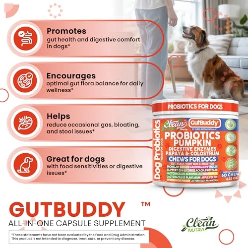 Clean Nutraceuticals Gut Health Probiotics For Dogs + Pumpkin Colostrum Digestive Enzymes Ginger