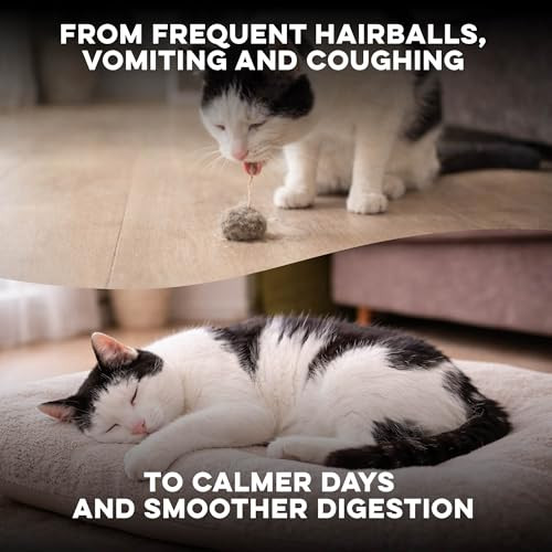 Bestlife4Pets Hairball Treatment For Cats & Stomach Comfort Remedy