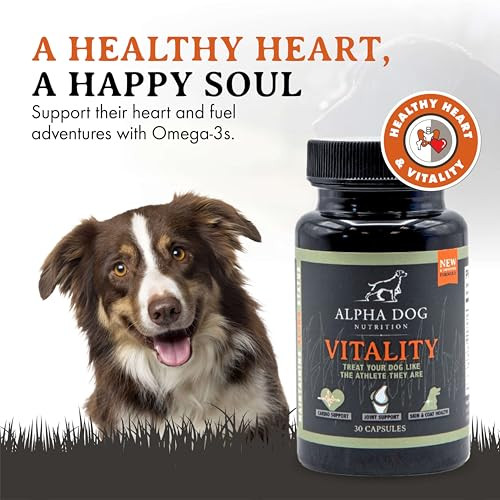 Alpha Dog Krill Oil For Dogs Vitality By Alpha Dog Nutrition