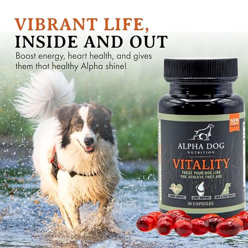 Alpha Dog Krill Oil For Dogs Vitality By Alpha Dog Nutrition