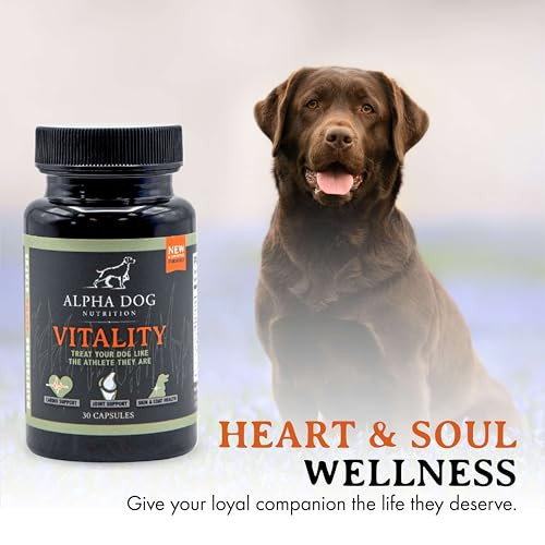Alpha Dog Krill Oil For Dogs Vitality By Alpha Dog Nutrition