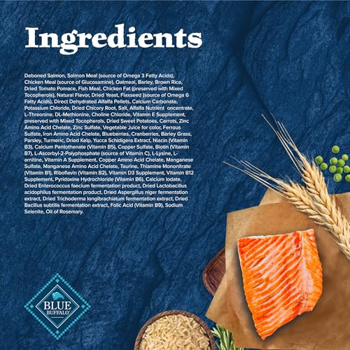 Blue Buffalo Wilderness With Salmon High Protein Dry Dog Food For Adult Dogs 4.5 Lbs