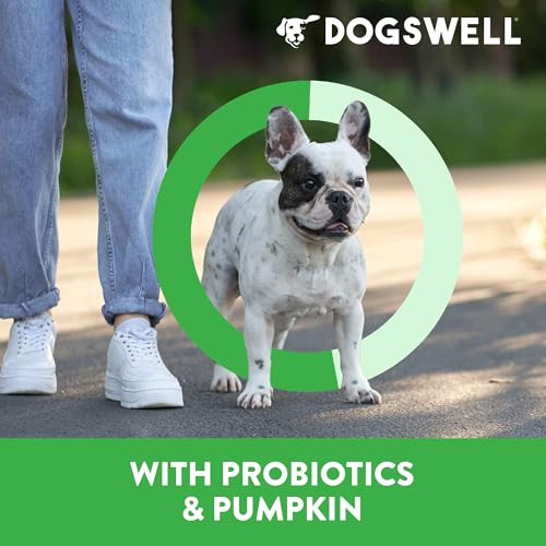 Dogswell Gut Health Mini Jerky Functional Dog Treats Lamb . Bag 4 Oz