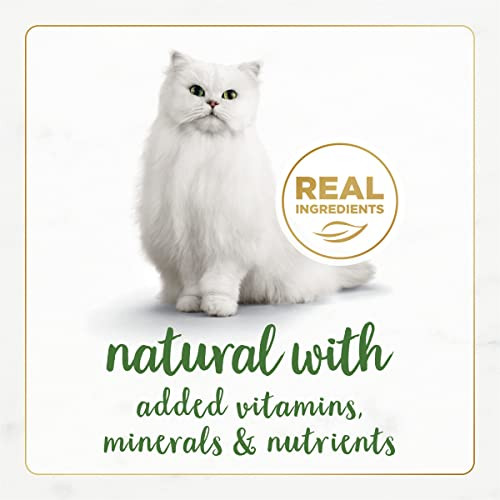 Fancy Feast Purina Fancy Feast Grain Wet Cat Food Pate Variety Pack 3 Oz Variety Pack