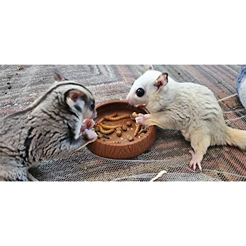 Exotic Nutrition Dried Insect 3 Pack Crickets Grasshoppers Mealworms For Sugar Gliders Hedgehogs 3 Pack