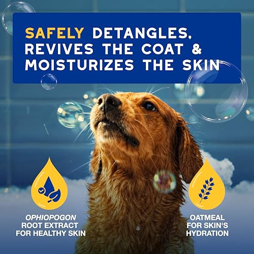 Douxo Spa Oatmeal Dog Conditioner Detangles And Moisturizes Leaves The Coat Soft 16 Fl Oz