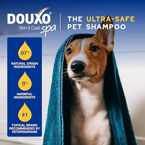 Douxo Spa Oatmeal Dog Conditioner Detangles And Moisturizes Leaves The Coat Soft 16 Fl Oz