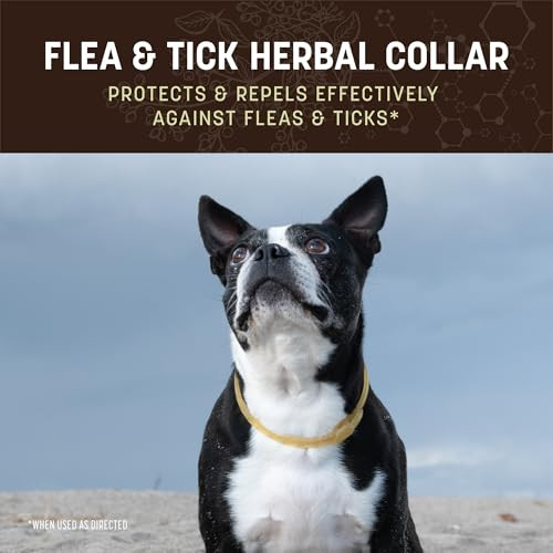 Earth Animal Apothecary Natural Flea & Tick Herbal Collar For Small Dogs &
