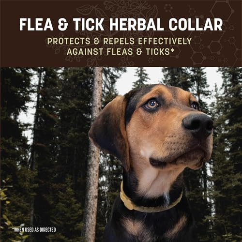 Earth Animal Apothecary Natural Flea & Tick Herbal Collar For Large Dogs 1