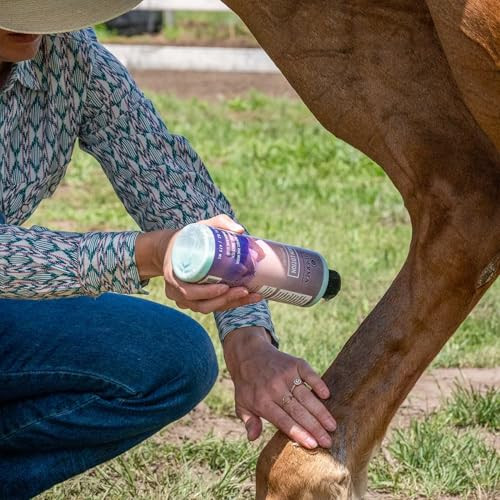 Equiderma 2 Pack) Horse Skin Lotion With 10 2 Pack