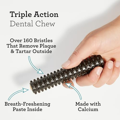 Dreambone Triple Action Dental Sticks Charcoal RawhideFree Chews For Large And Xl 6 Count