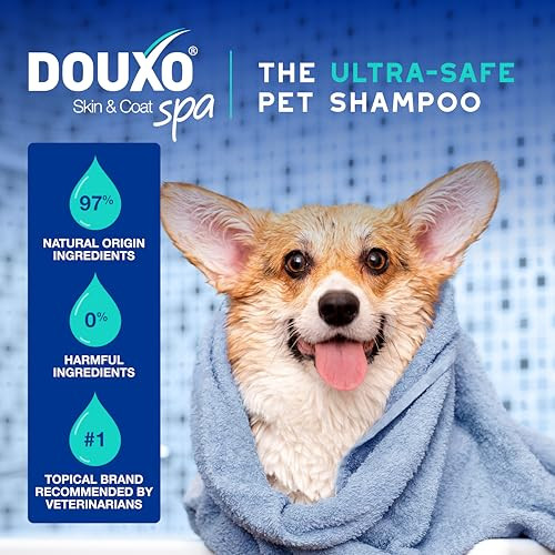 Douxo Spa Dog Shampoo For Smelly Dogs Hydrates The Skin Removes Bad 16 Fl Oz