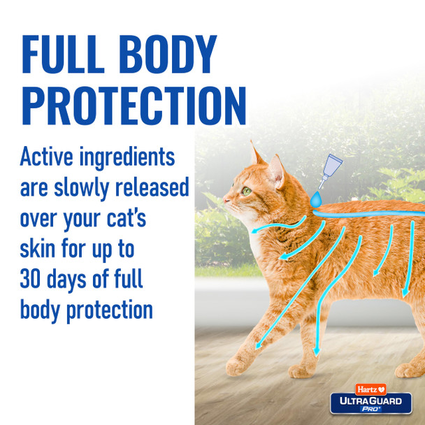 Hartz Ultraguard Pro Topical Flea & Tick Prevention For Cats And Kittens