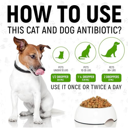 Golden Paw Antibiotics For Dogs 2 Oz