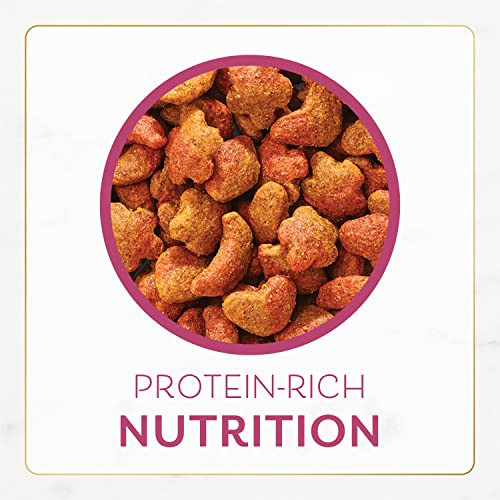Fancy Feast Purina Dry Cat Food Filet Mignon Flavor With Real Seafood & 16 Oz Pack Of 1