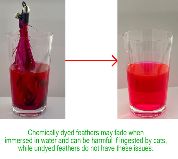 Ecocity Cat Toys No Chemical Dyeing Cat Feather Toys For Indoor Cats