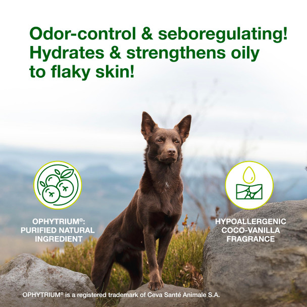 Douxo S3 Seb Shampoo Contains 0.5% Ophytrium Odor Control & Seboregulating For Oily 6.7 Fl. Oz