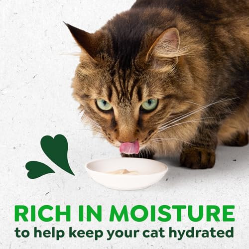 Greenies Feline Smart Purees Healthy Indoor Lickable Cat Treats With Real Chicken 0.49 Oz 20 Count