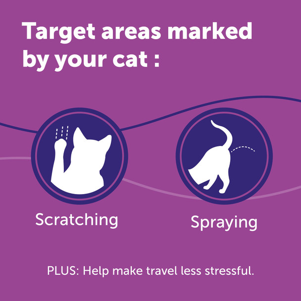 Feliway Classic Cat Calming Spray Comforts Cats At Home And On The 60Ml