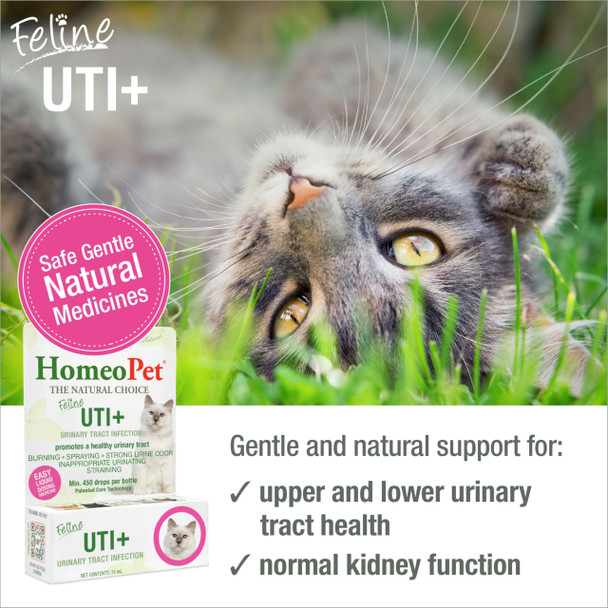 Homeopet Feline Uti+ Safe And Natural Urinary Tract Supplement For Cats Feline 15 Milliliters