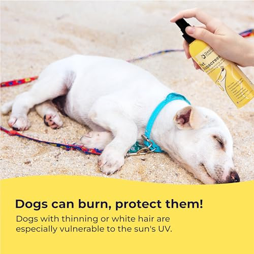 Gentle Creatures Dog Sunscreen Spf 30+ With Skin Moisturizing Vitamin E And Olive