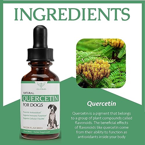 Life Of Health Quercetin For Dogs Quercetin For Dogs Allergies Supports Immune Respiratory Skin 1 Fl Oz