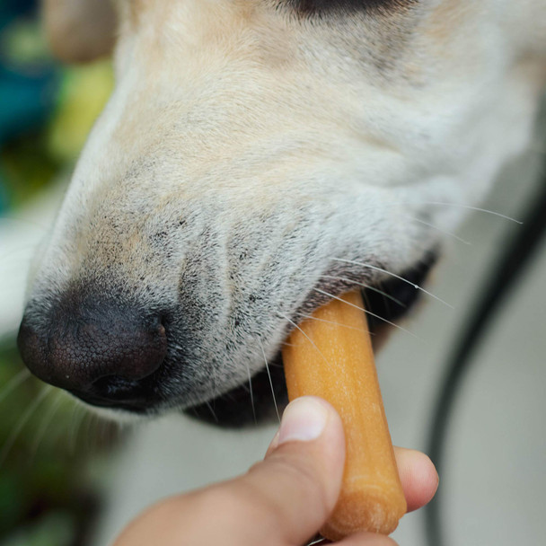 Himalayan Dog Chew Yaky Churro Himalayan Cheese Treats 10 Inch